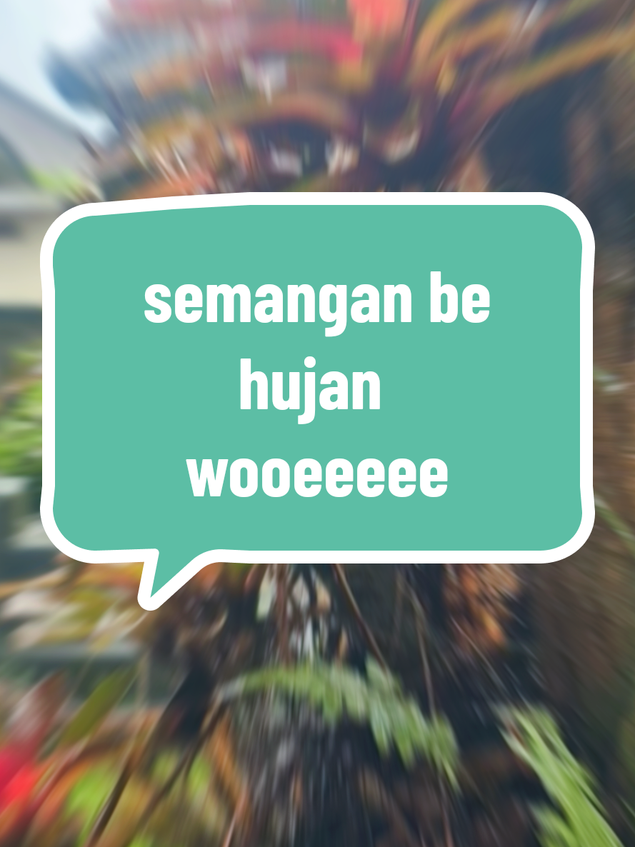 @Brana Purana