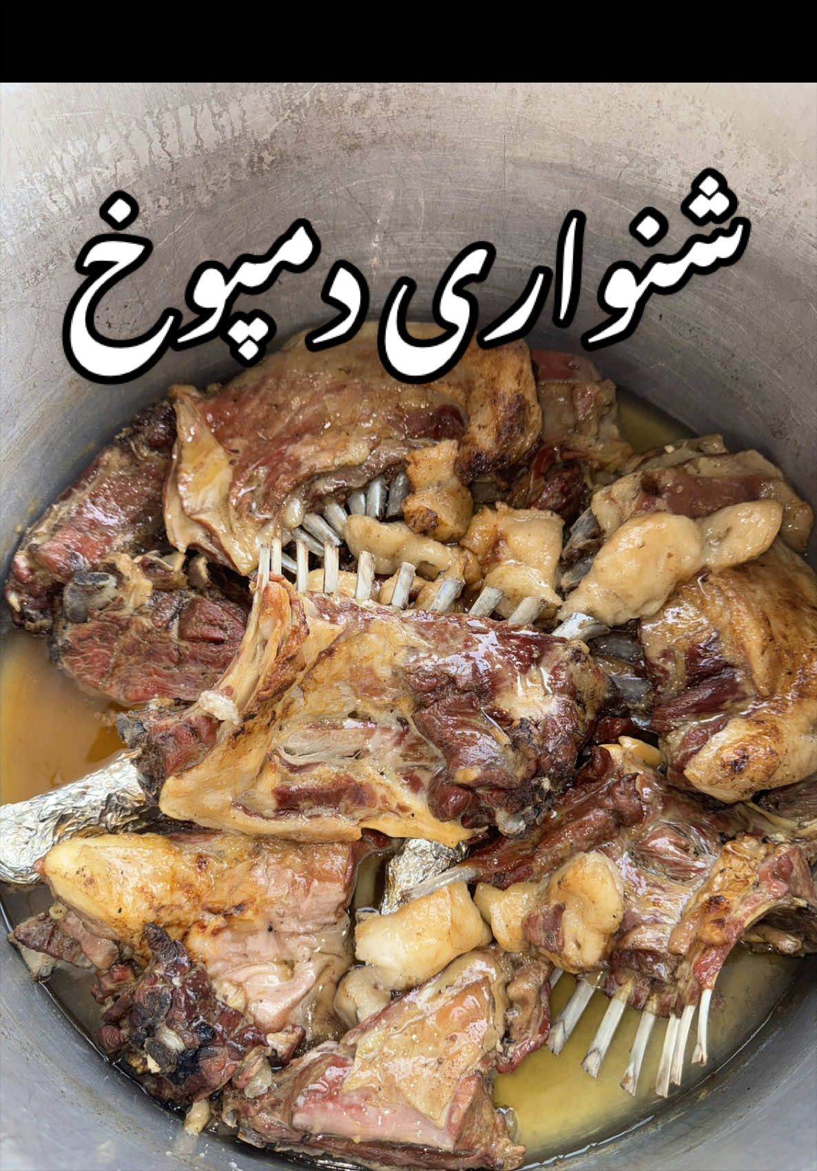 @Shinwari vlogs