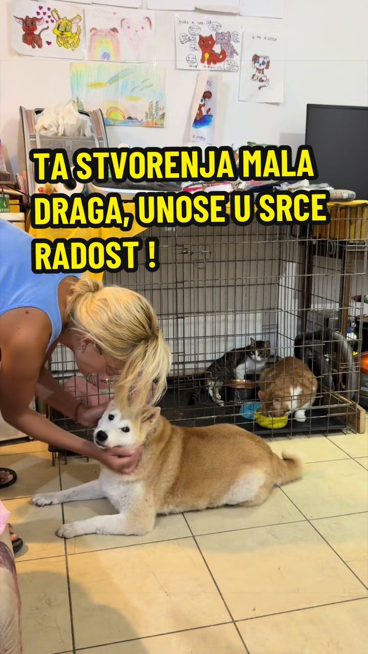@Maja Kovijanic