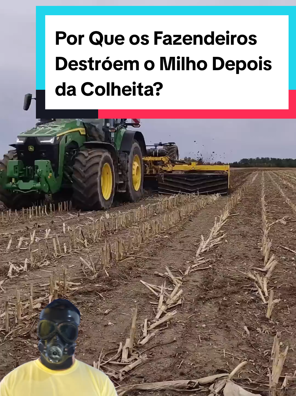 @Mundo da Curiosidades