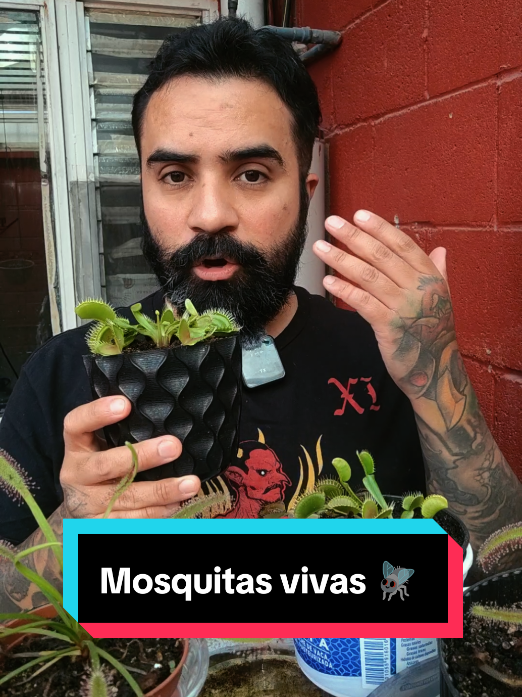 @Tortubalance