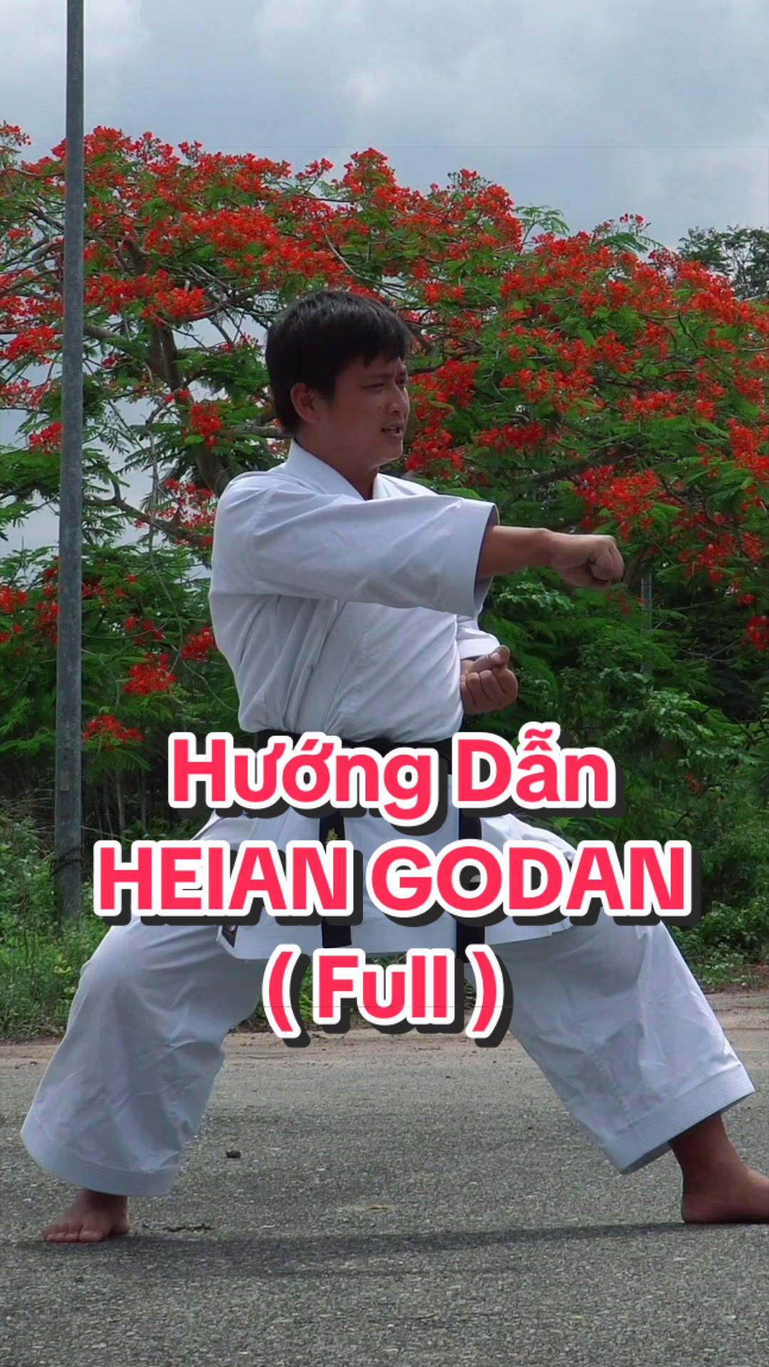 @Quang Hải NDK