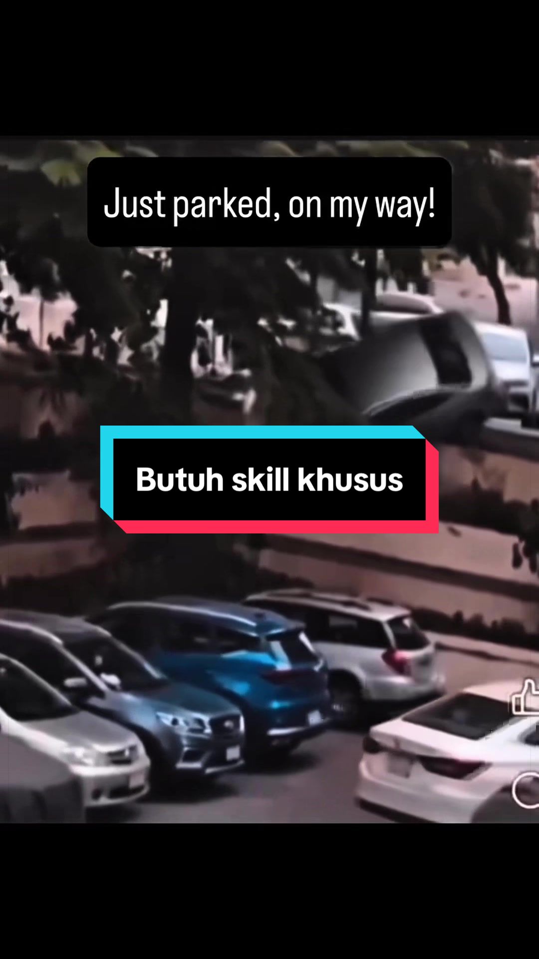 @Eriz Toyota