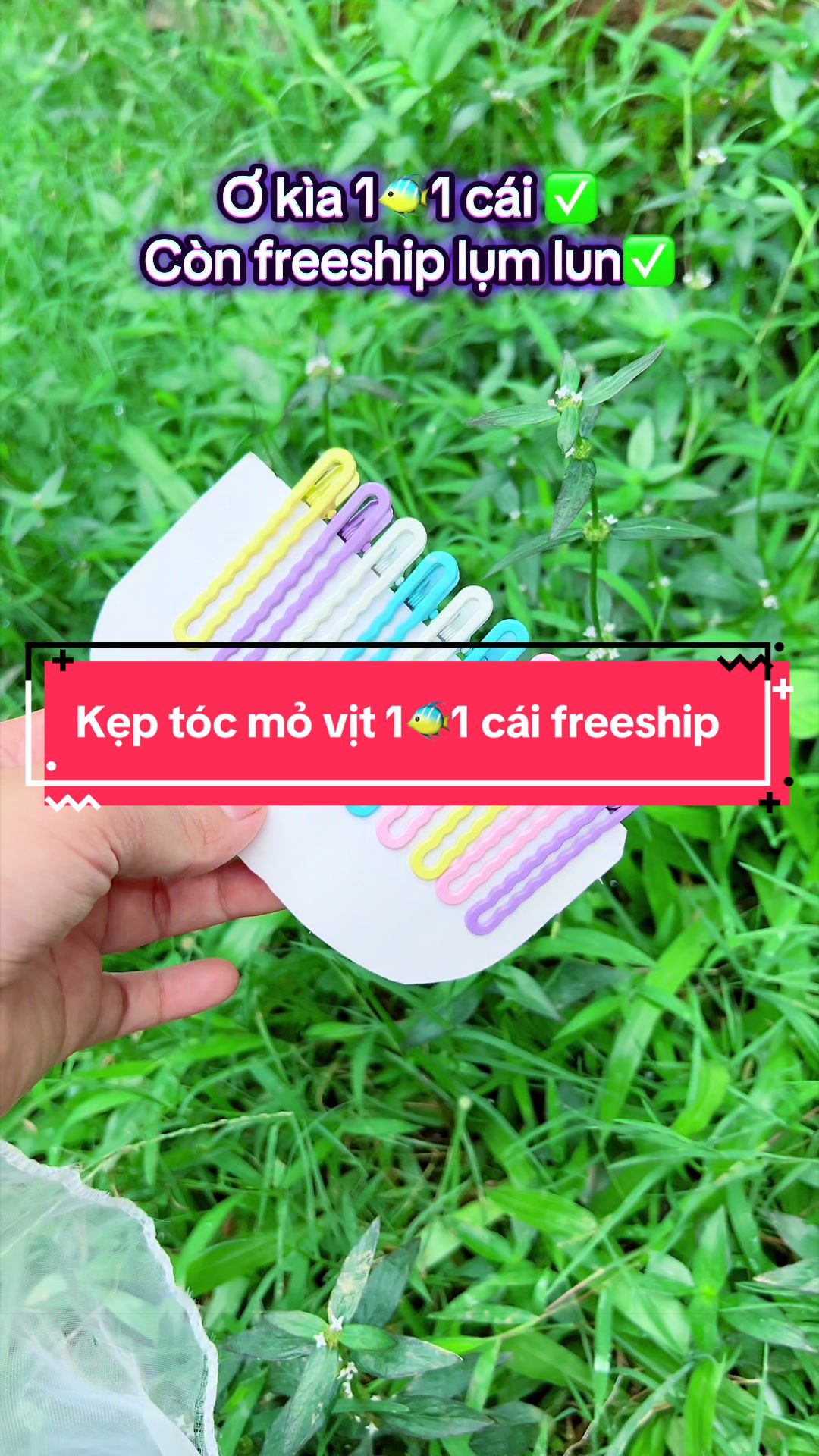 @Dâu Vùng Cao