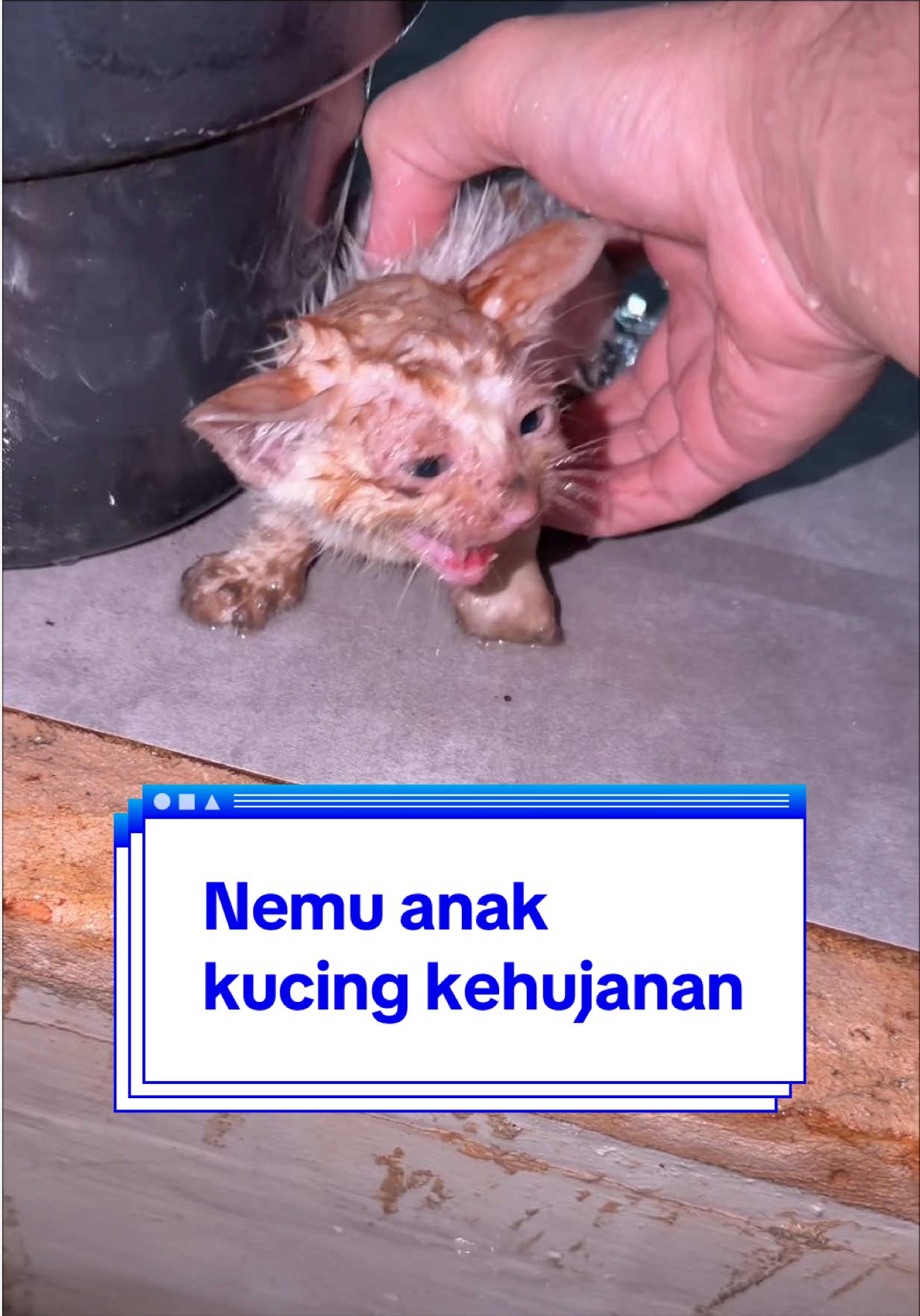 @sosor