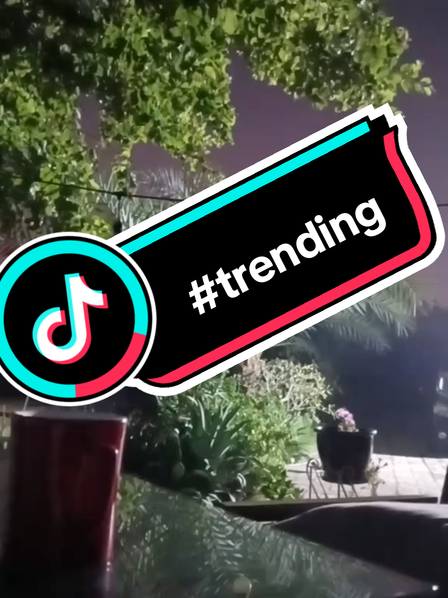 @🇵🇸🔻𝓐𝓝𝓘𝓜𝓔𝓕𝓐𝓝𝓖🔻🇵🇸