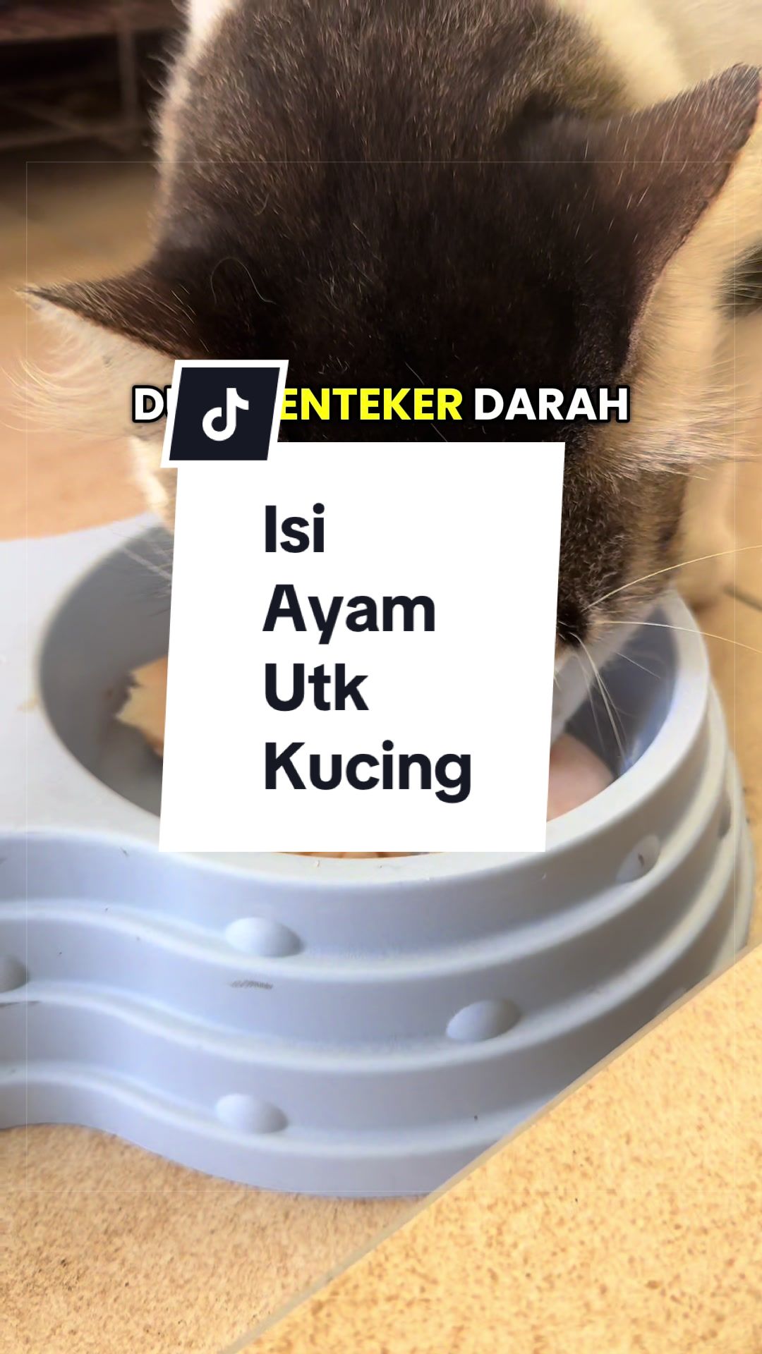 @Nadhirah Razani