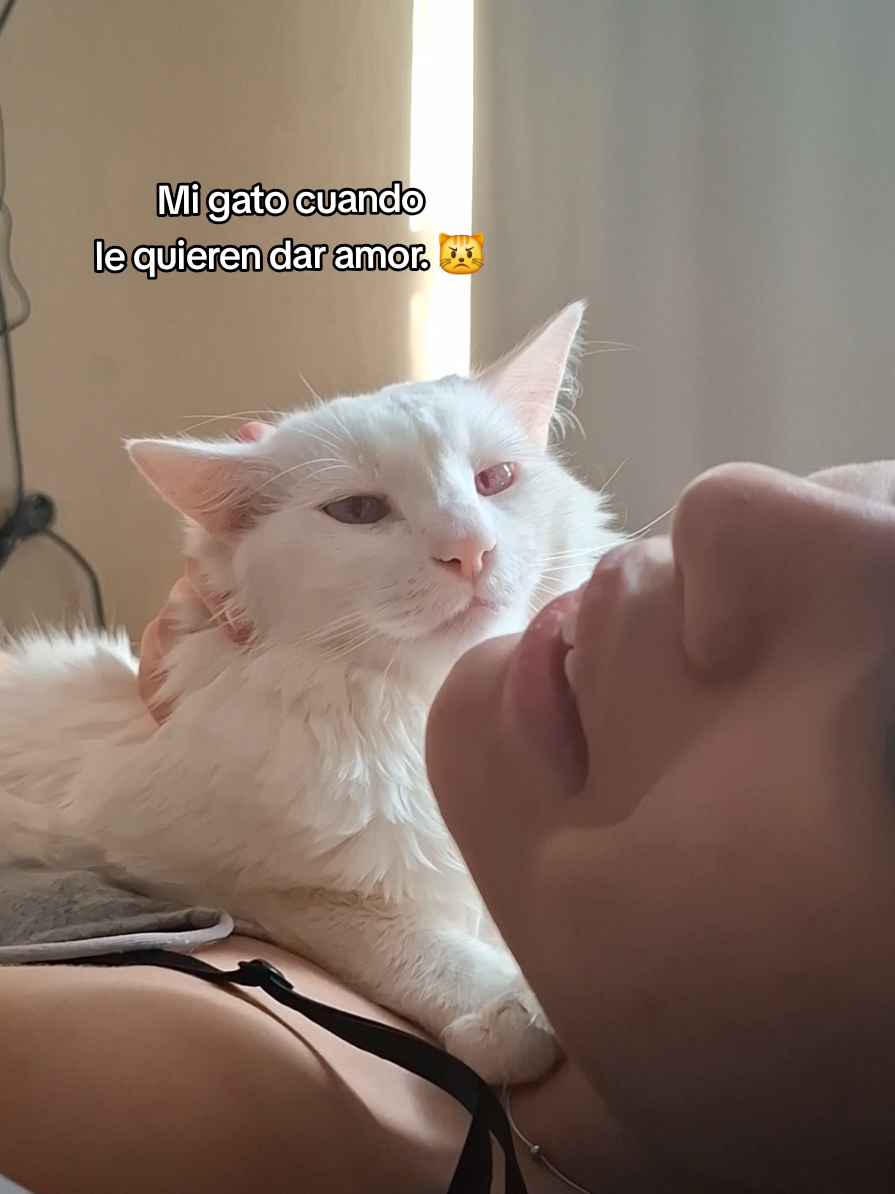 @MichiLovers&reg;