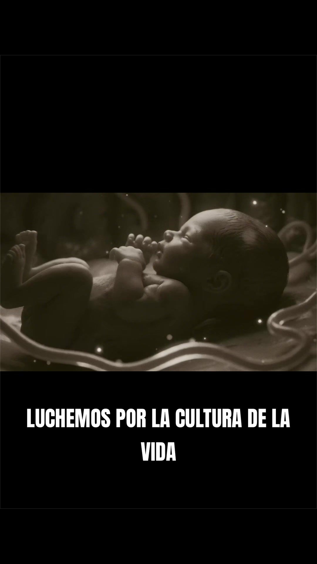 @somoseternoscatolicos