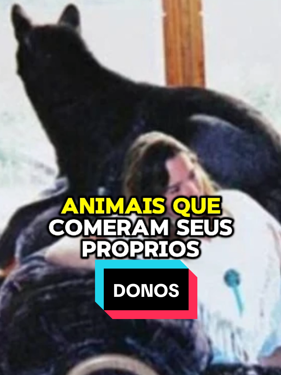 @curiosidadesemistério