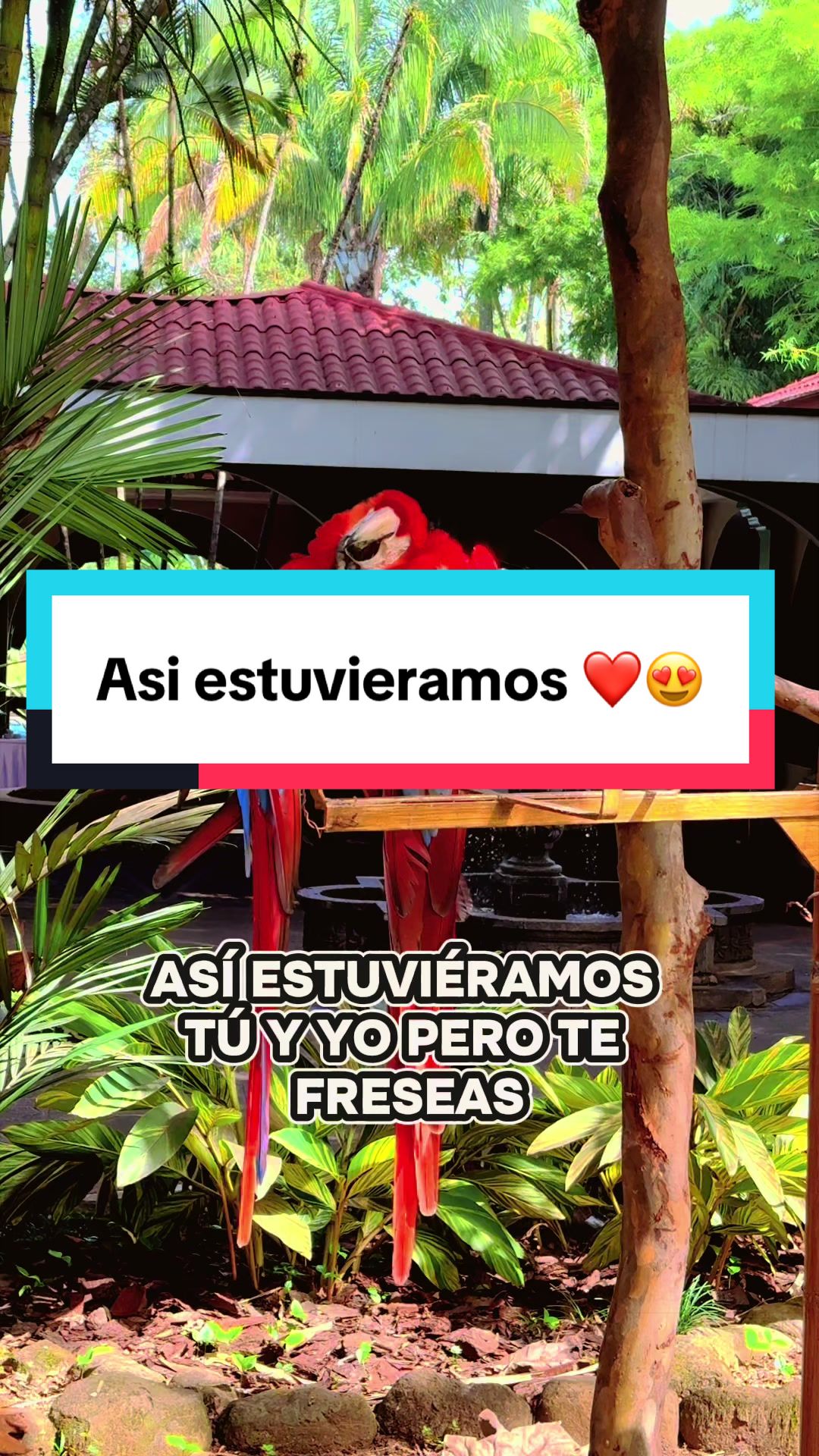 @Nery 🍍