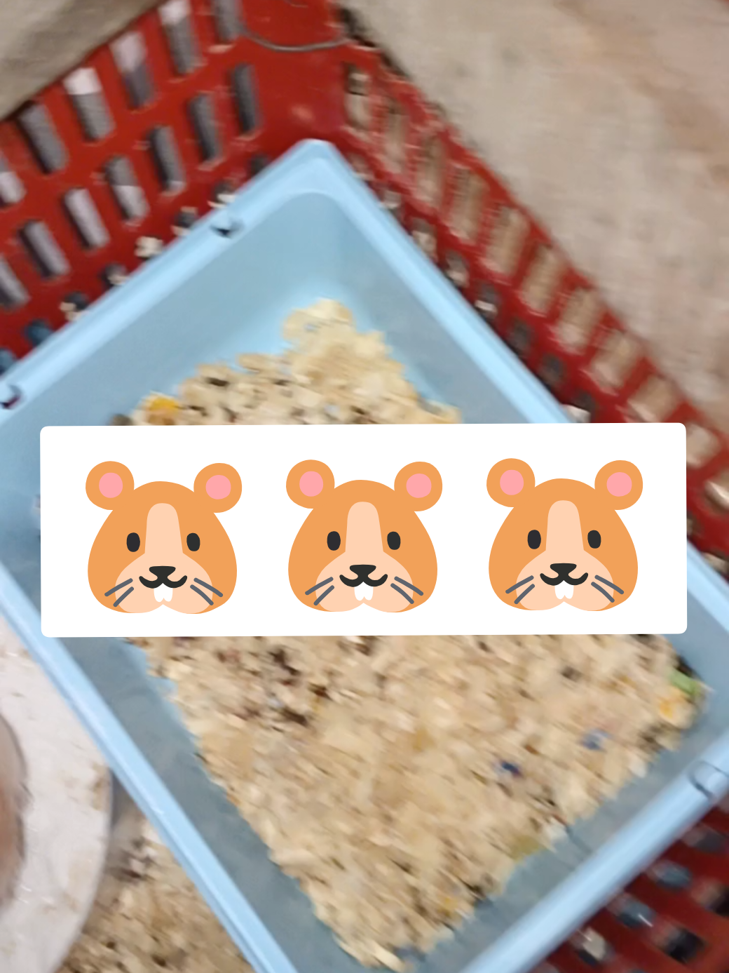 @Grey Greyᥫ᭡.ִֶָ𓂃