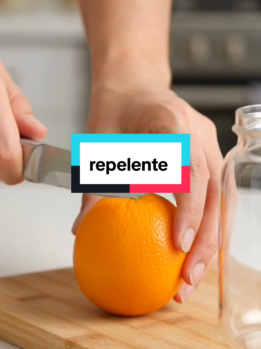 @Dicas e Receitas Naturais