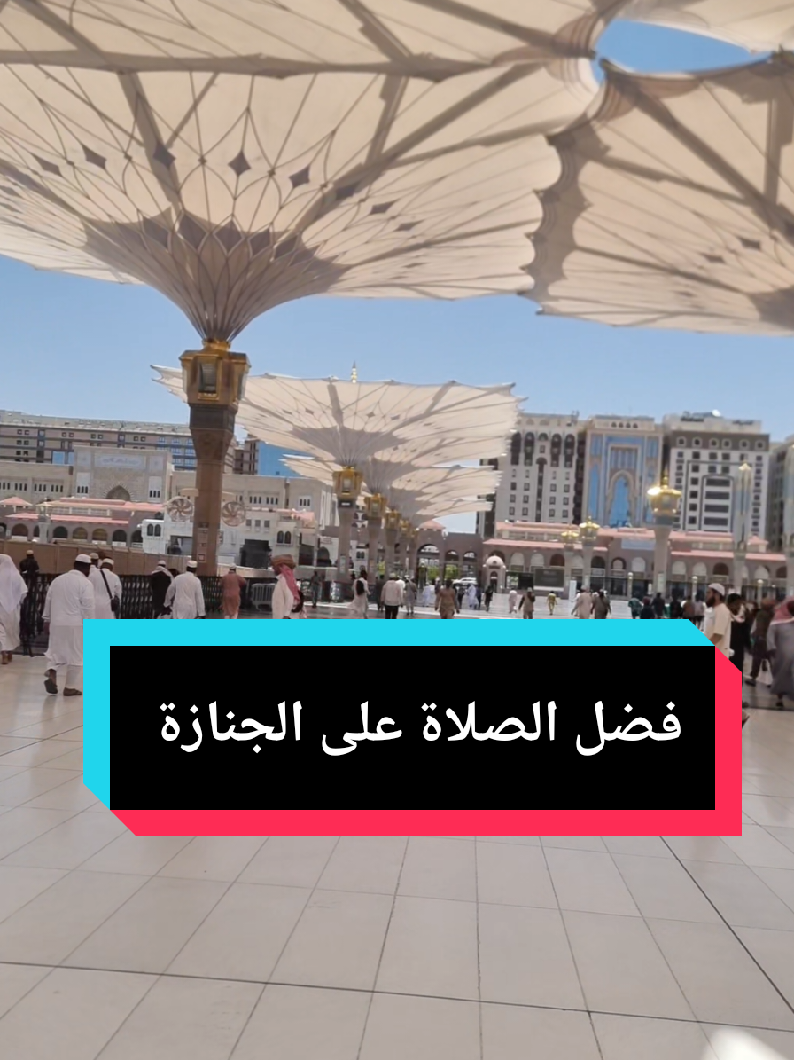 @سعود من المدينة المنورة 🛑