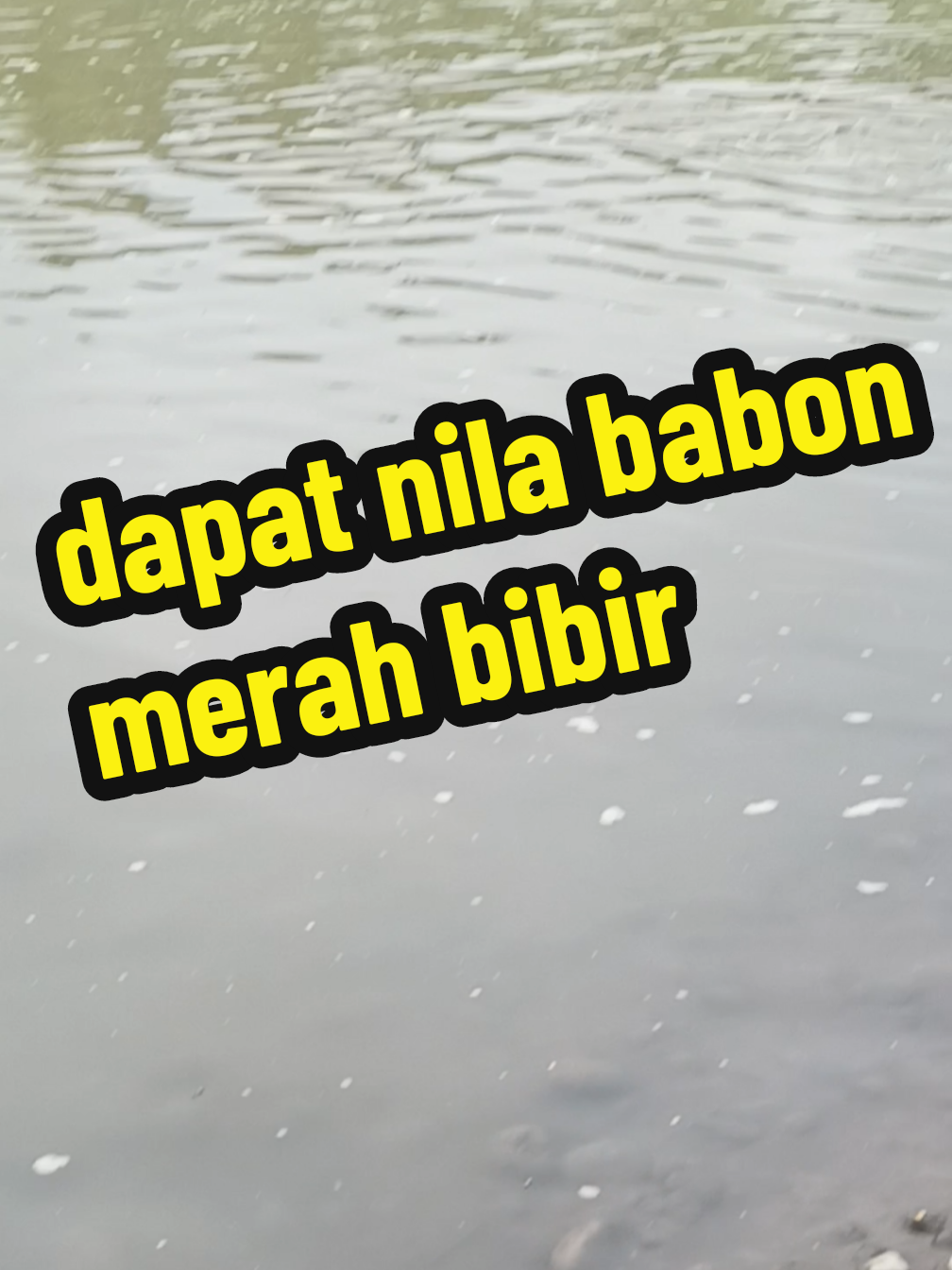 @Awi,Serba fishing🐬