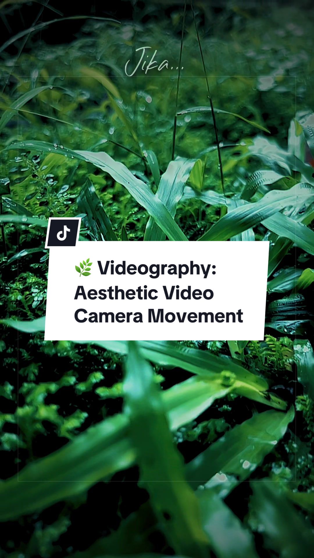 @Muhammad | Videographer