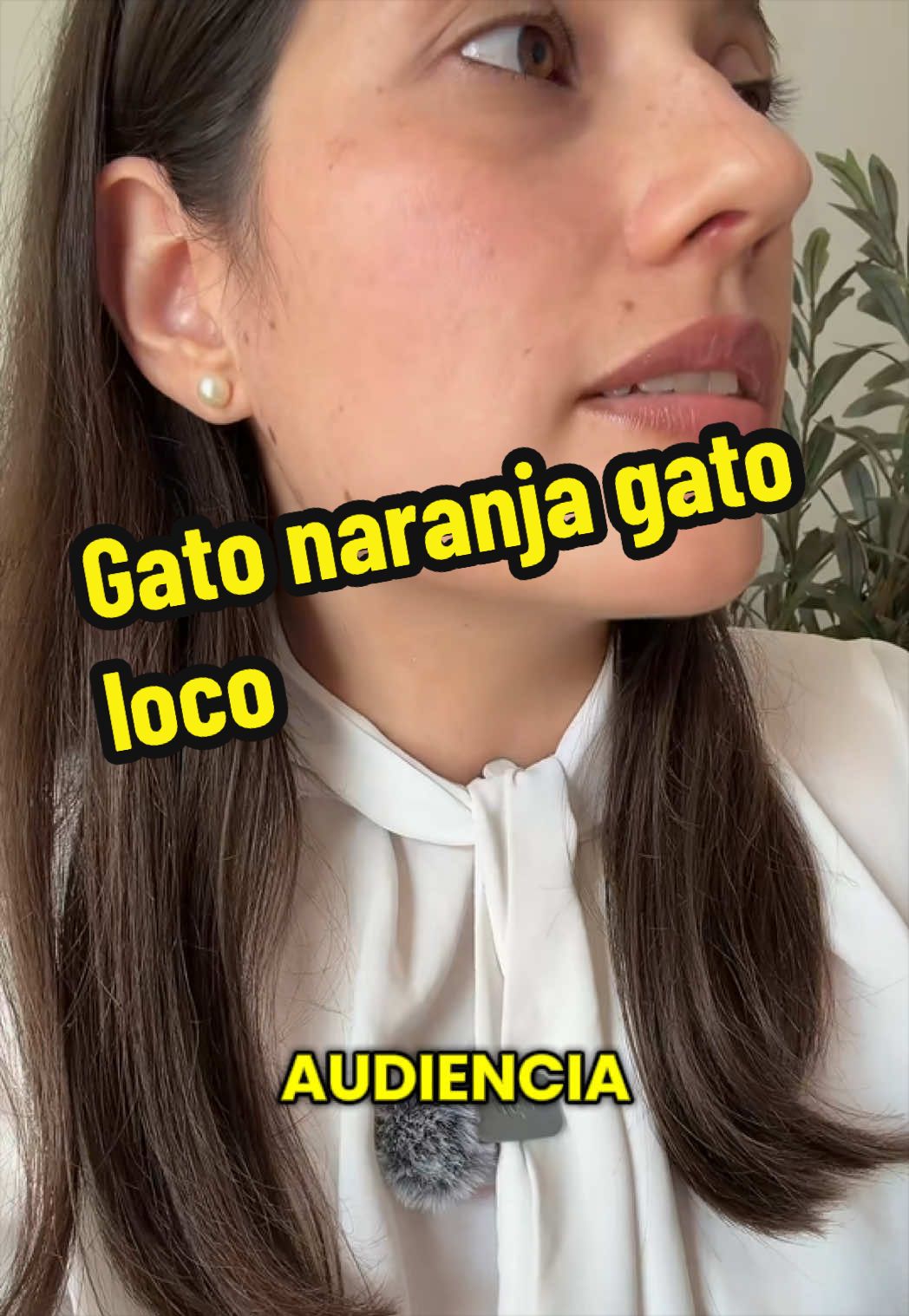 @Ana Arriagada ⚖️