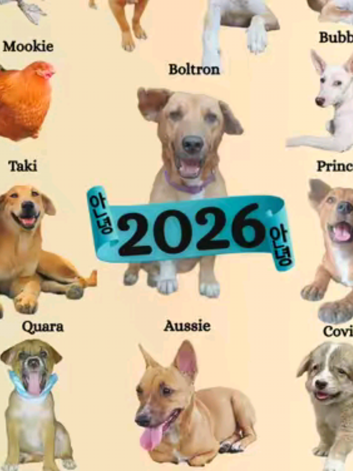 @&alpha;ҽgy