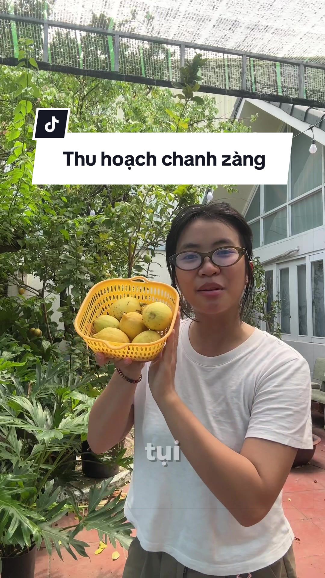 @Vuoncuakien