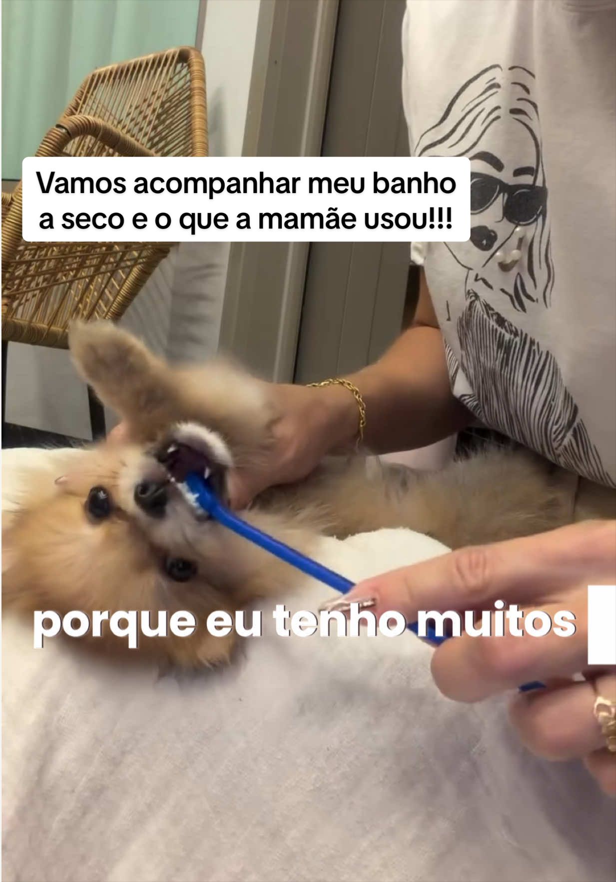 @Kettyla e elisandro