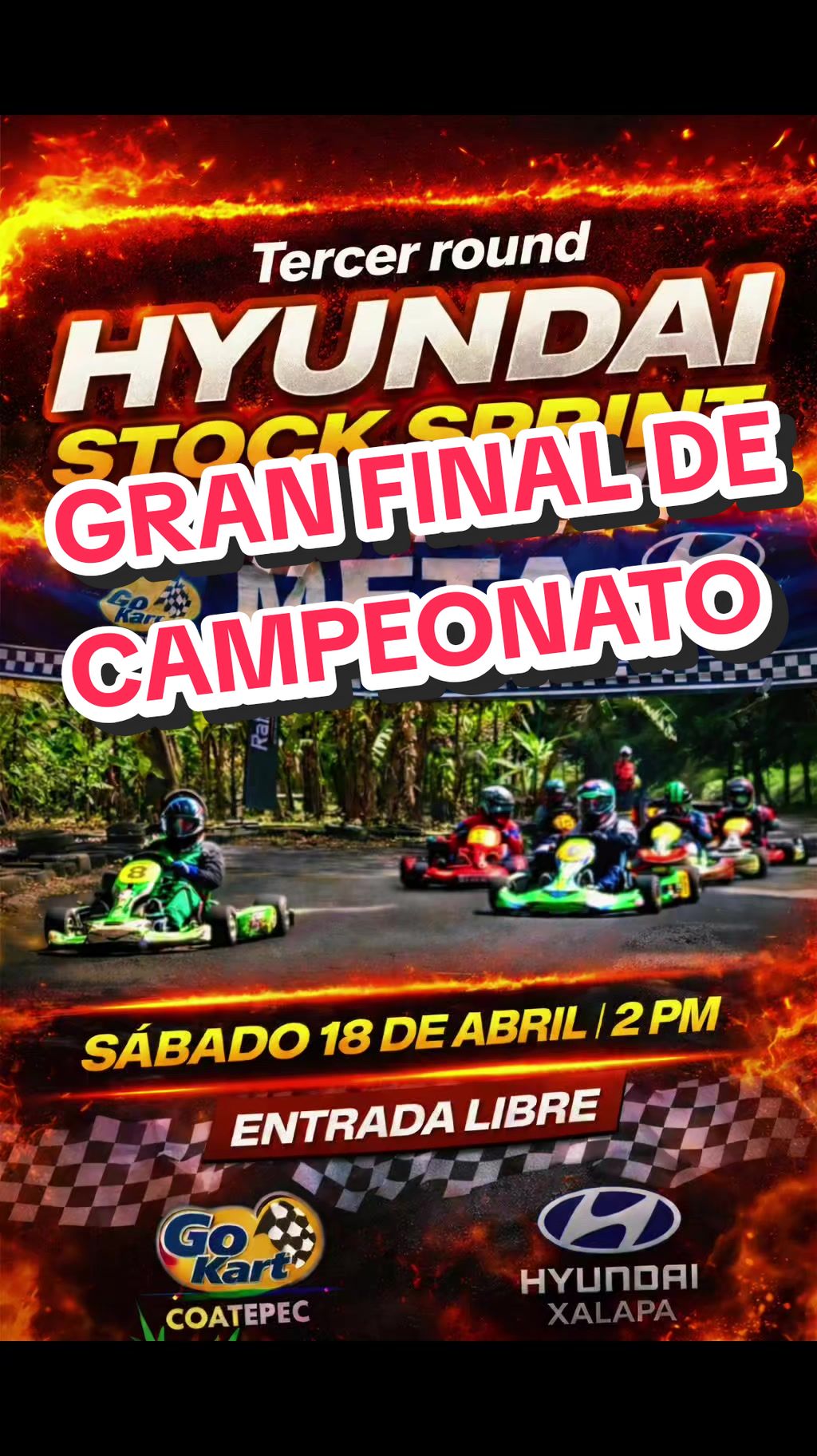@gokartscoatepec