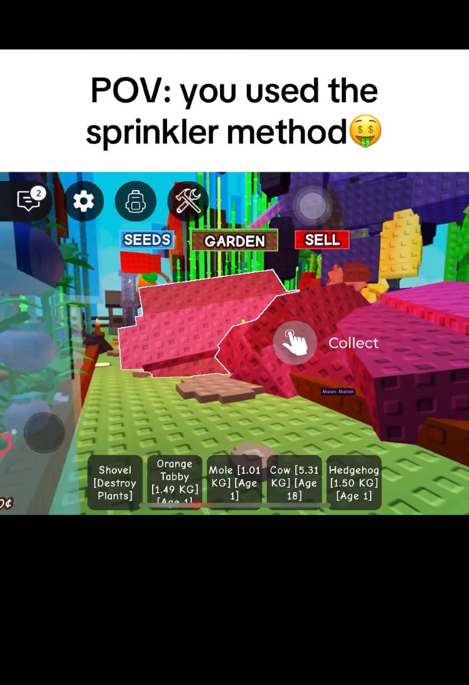 @ILSHRMP