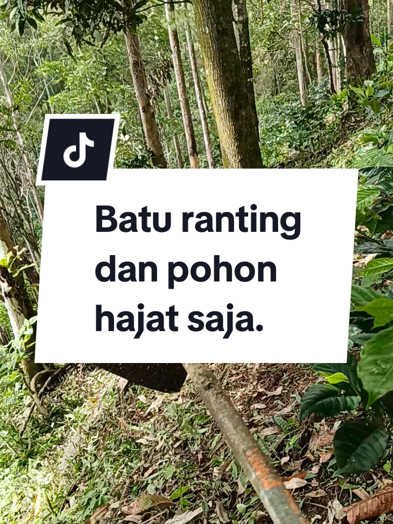 @kopi HD