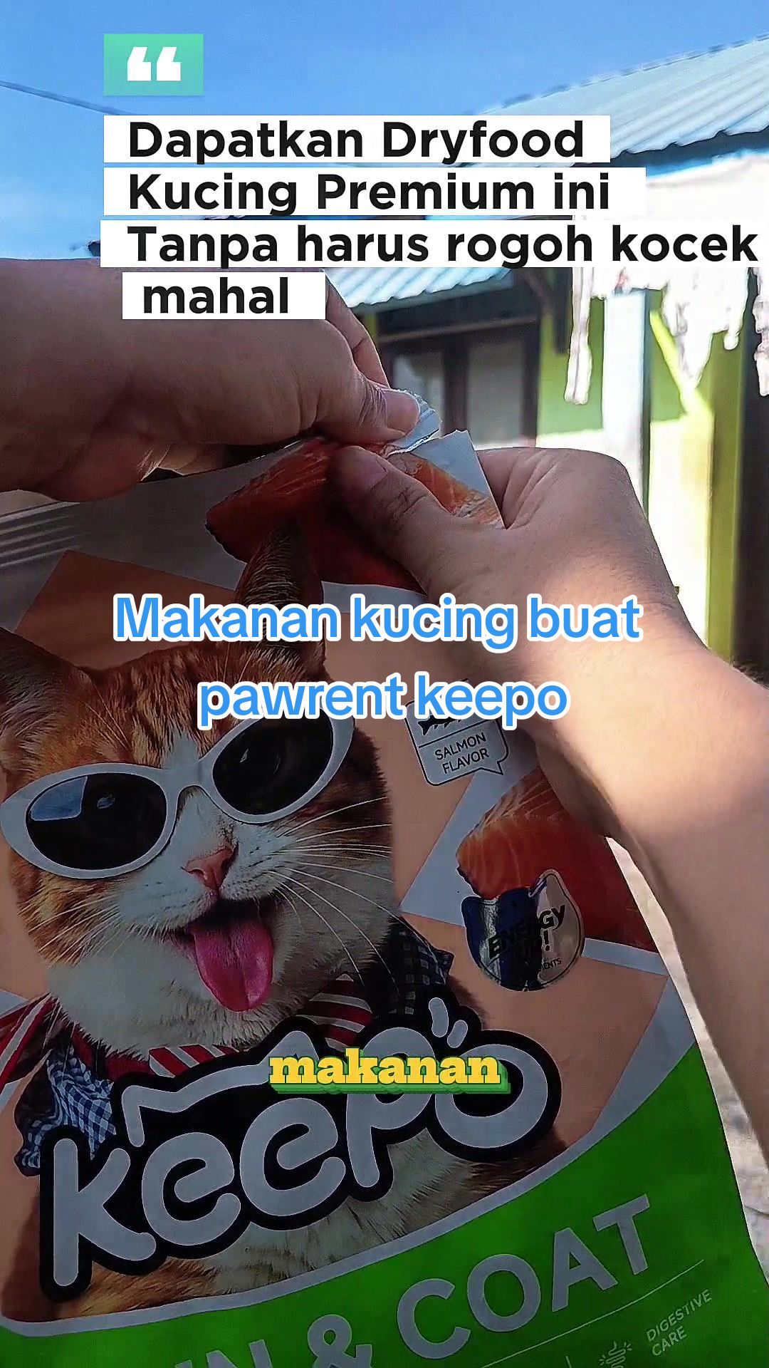 @Medayo Petcare