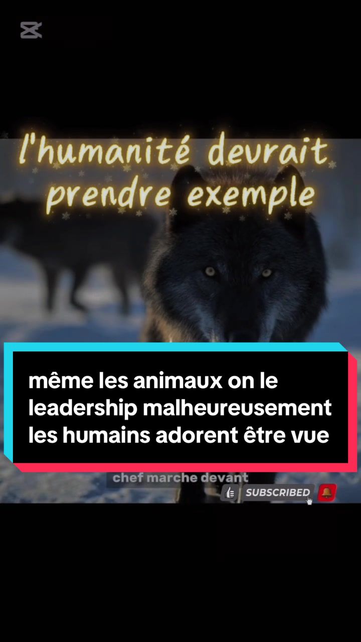 @(ZAK)_DG_🇭🇹🇨🇦👑The Best👑