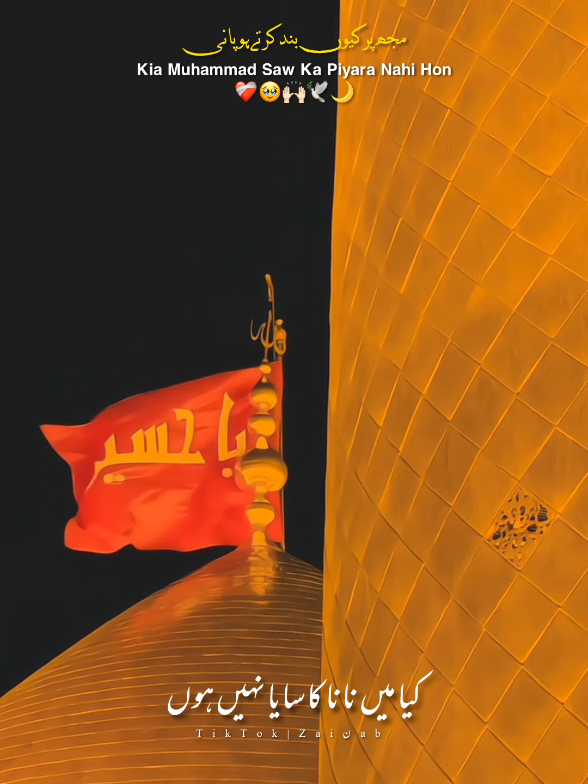 @𝐙𝐀𝐈ن𝐀𝐛ރ