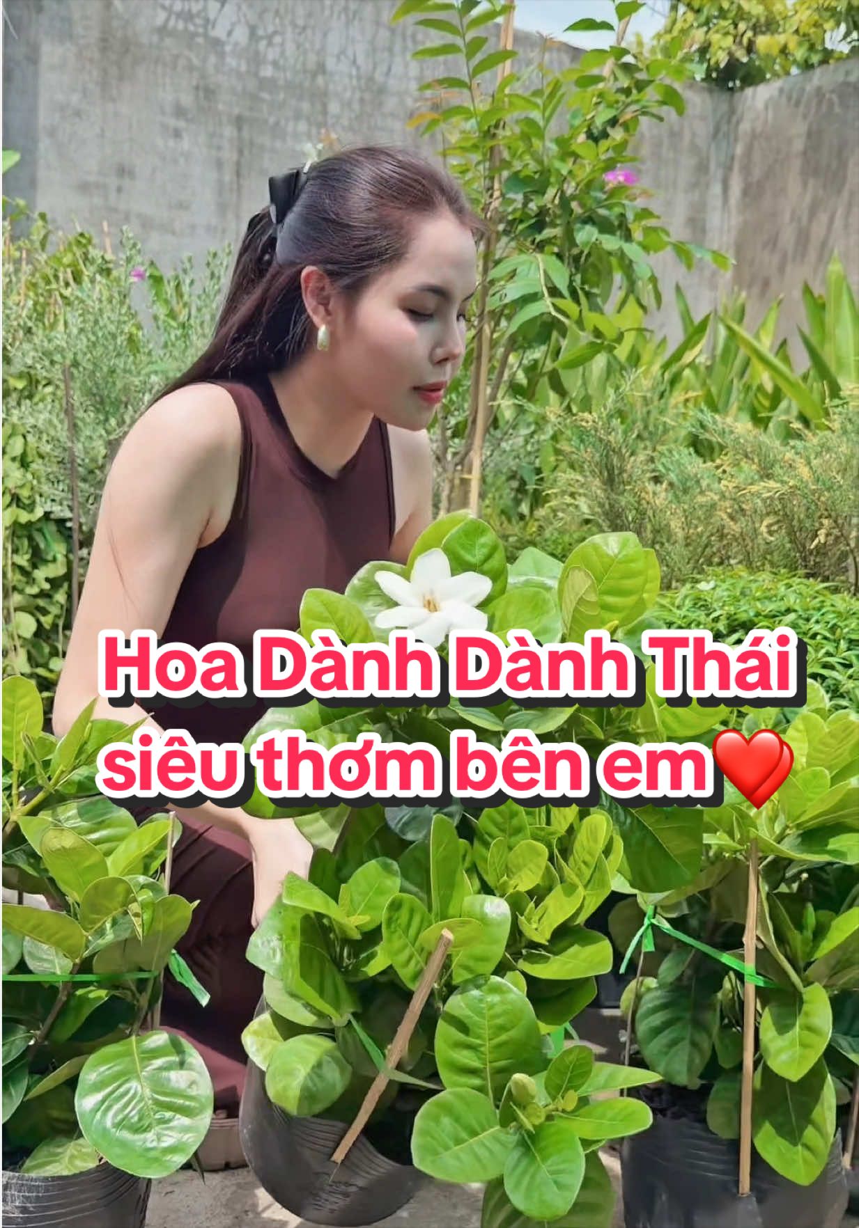 @Tiệm Lá Nhỏ