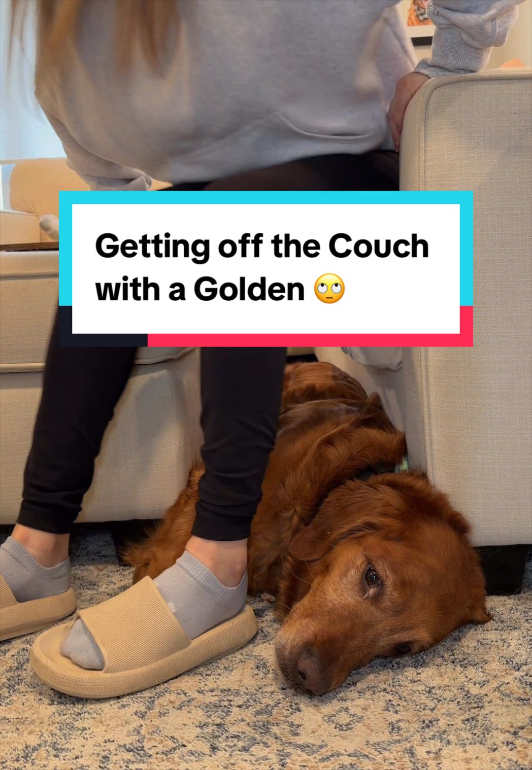 @Air Bud Kobe 🇨🇦