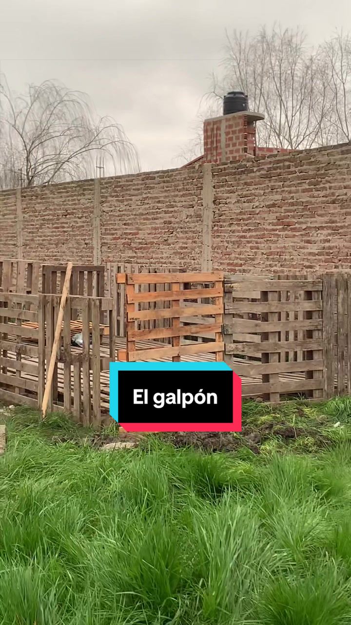 @agustinamorlacch7