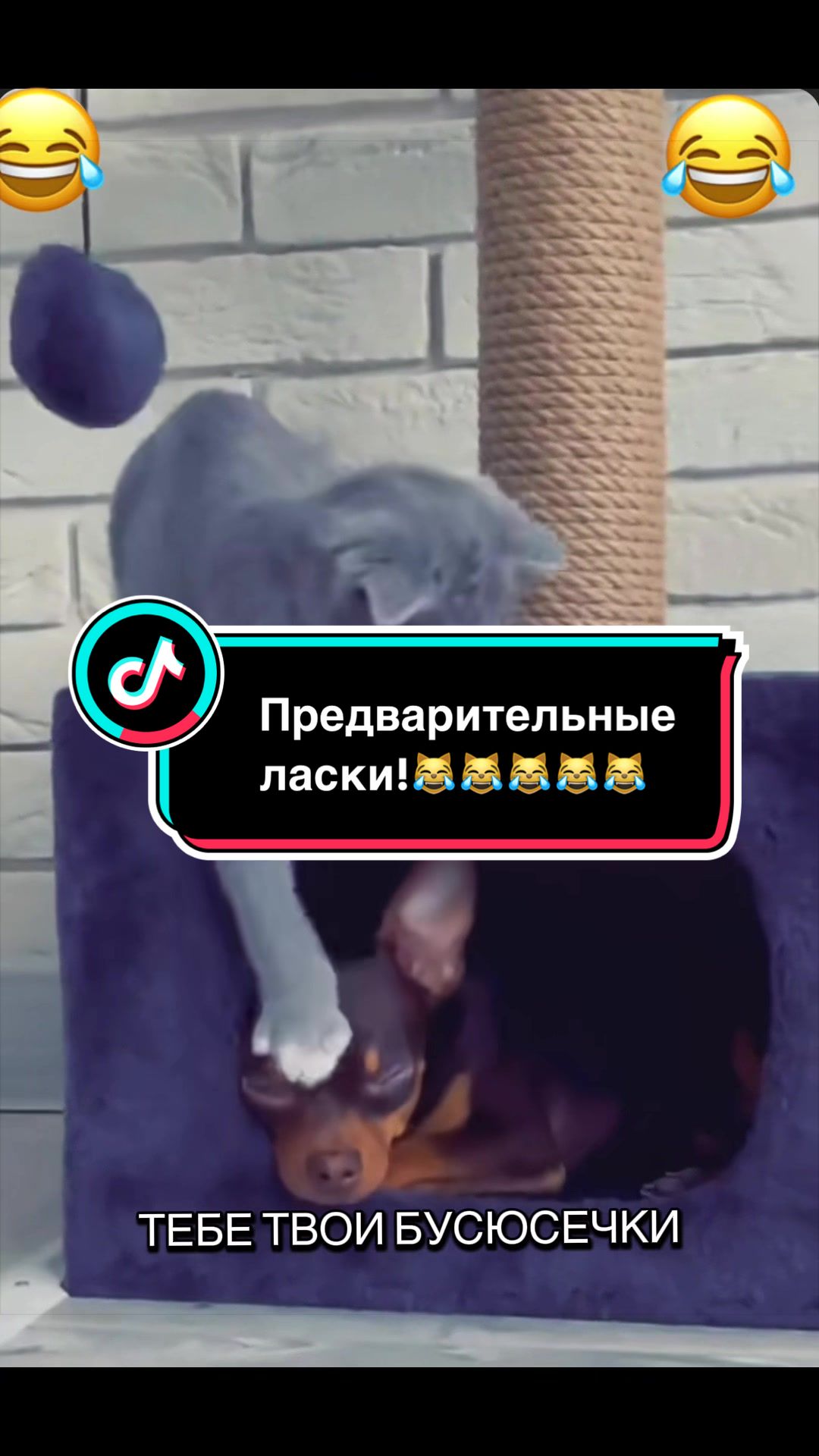 @Саня Пагон &clubs;️