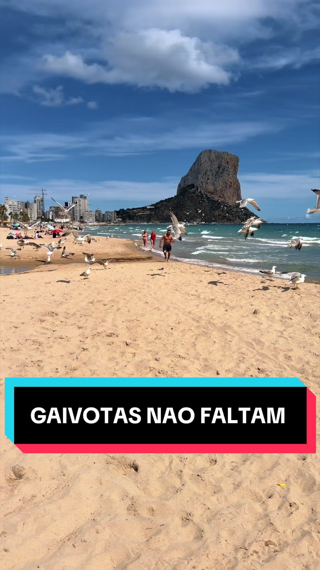 @Shayla Sandes 🇧🇷🇪🇸