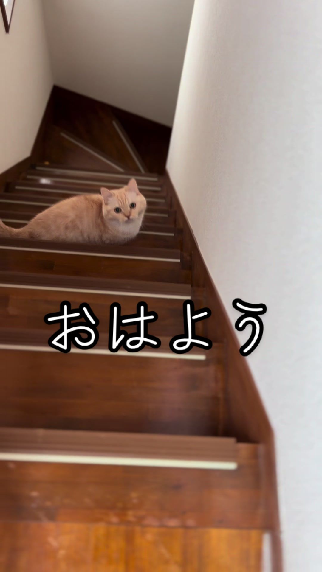 @縫くんと私
