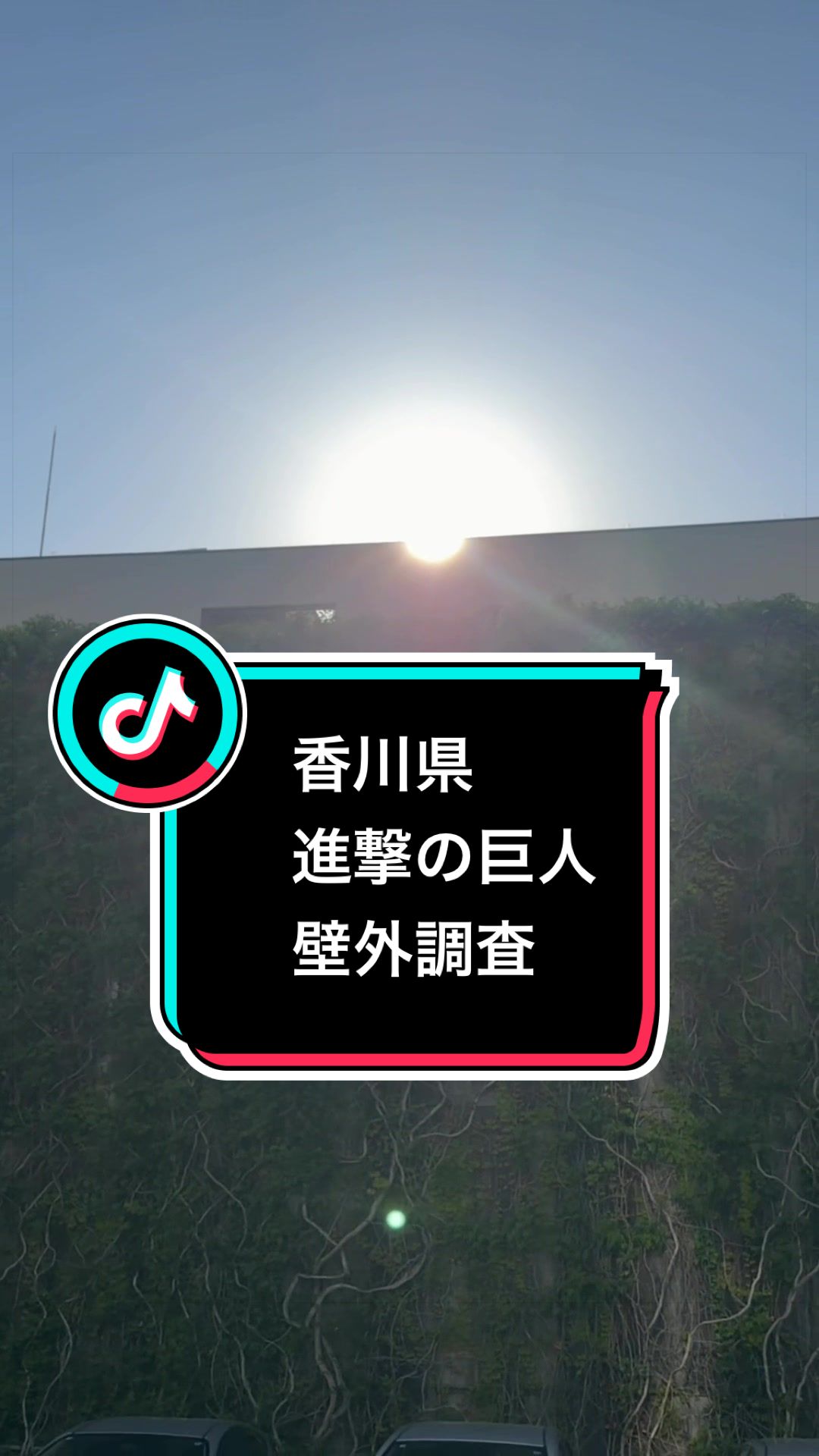 @fumi📸3776🖼️