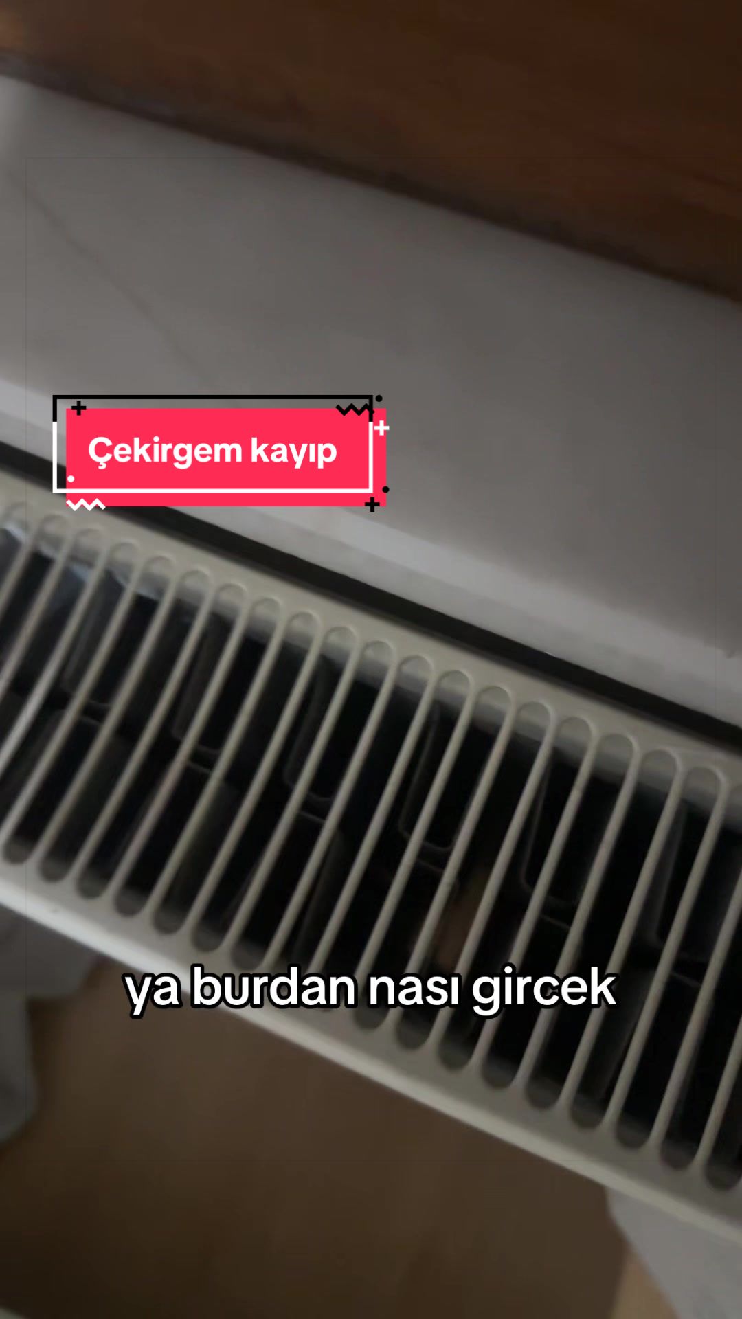 @Burayı Dinlerler Podcast