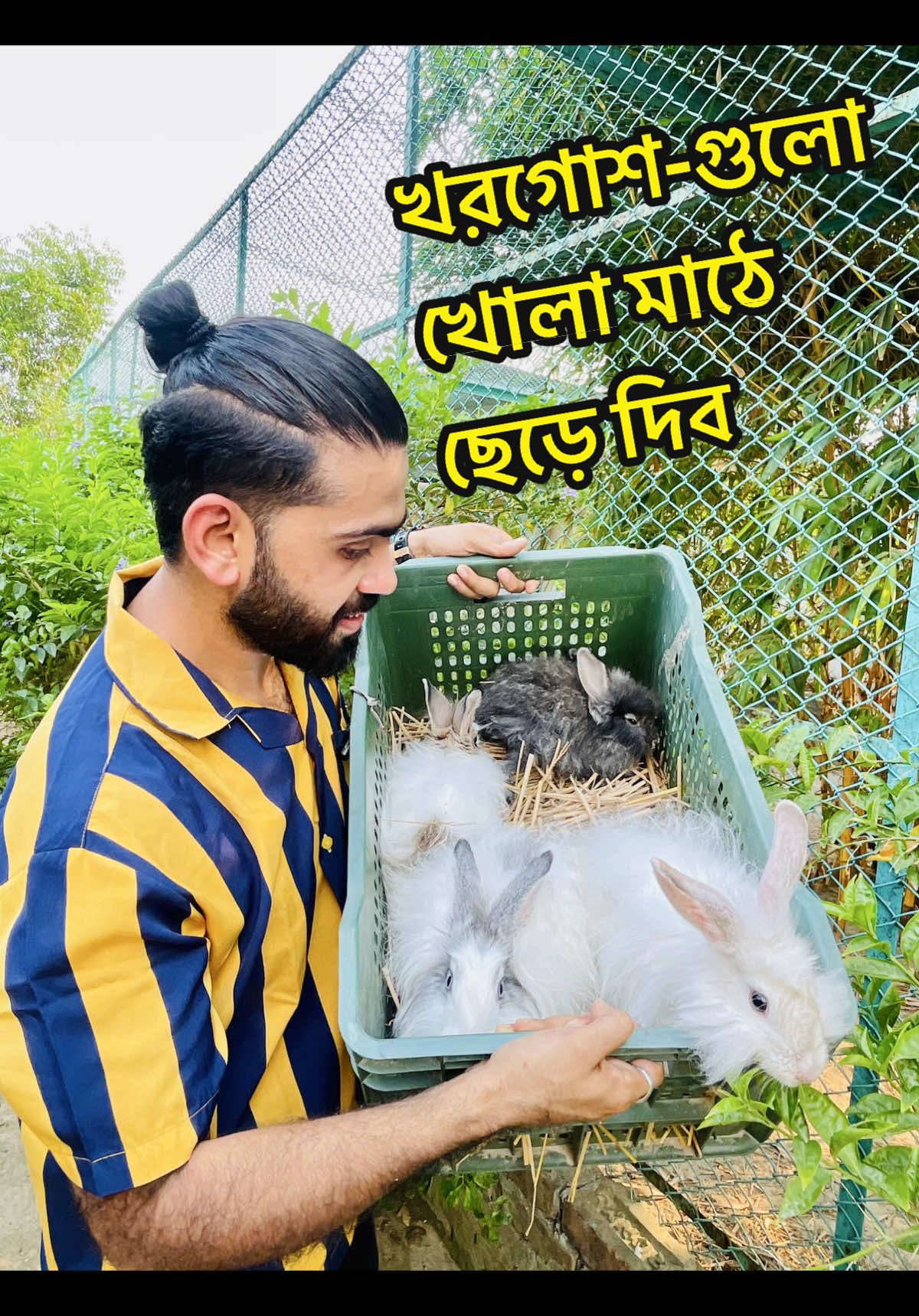 @Aqib Asif Trading (Ovi)