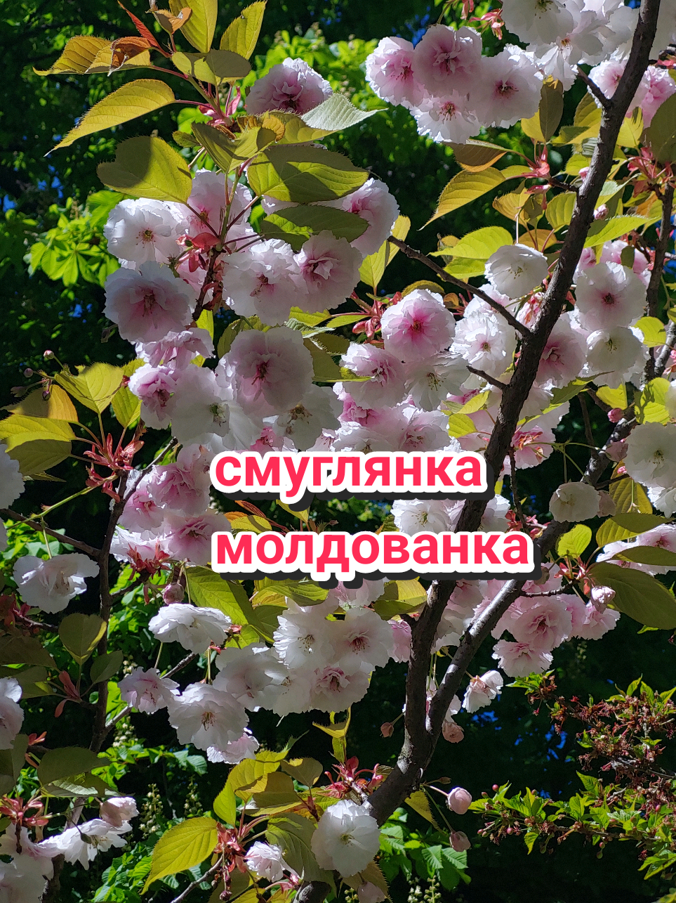 @Рыся✔️🇧🇾