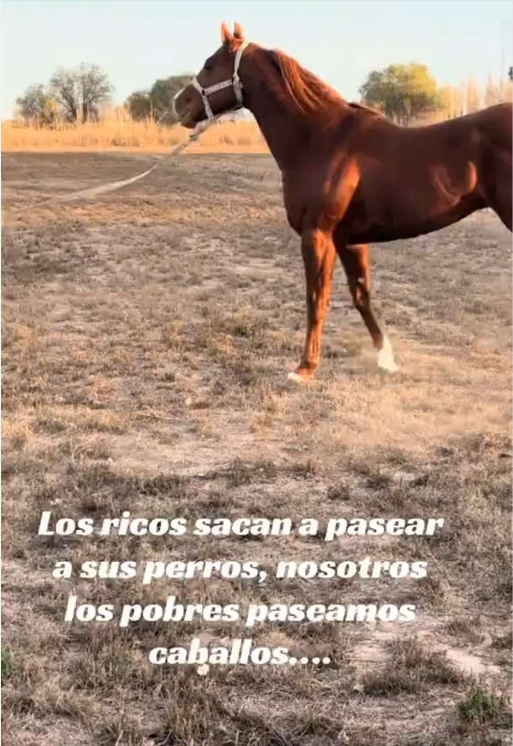 @Paoooooo