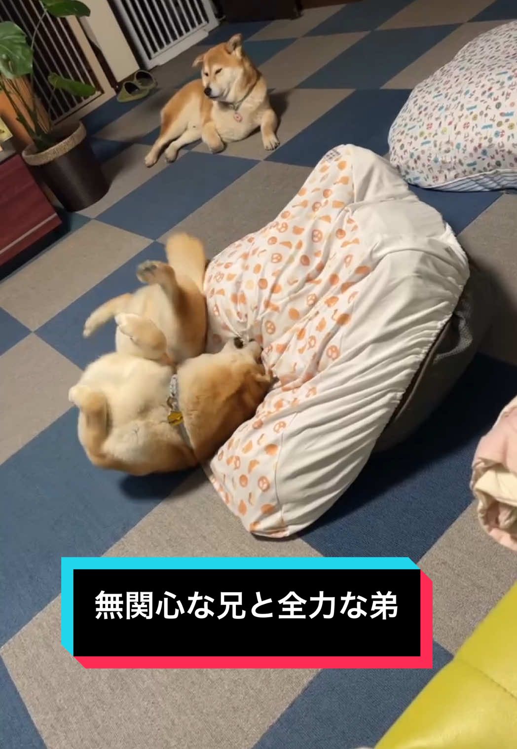 @てんくう