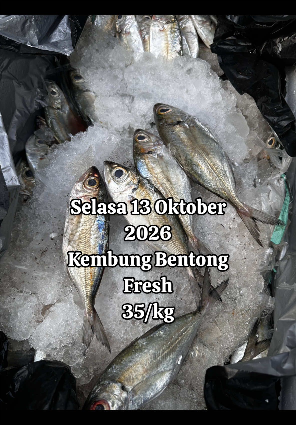 @pesekseafood