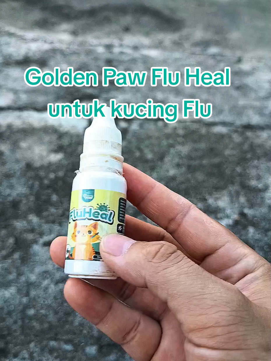 @Medayo Petcare
