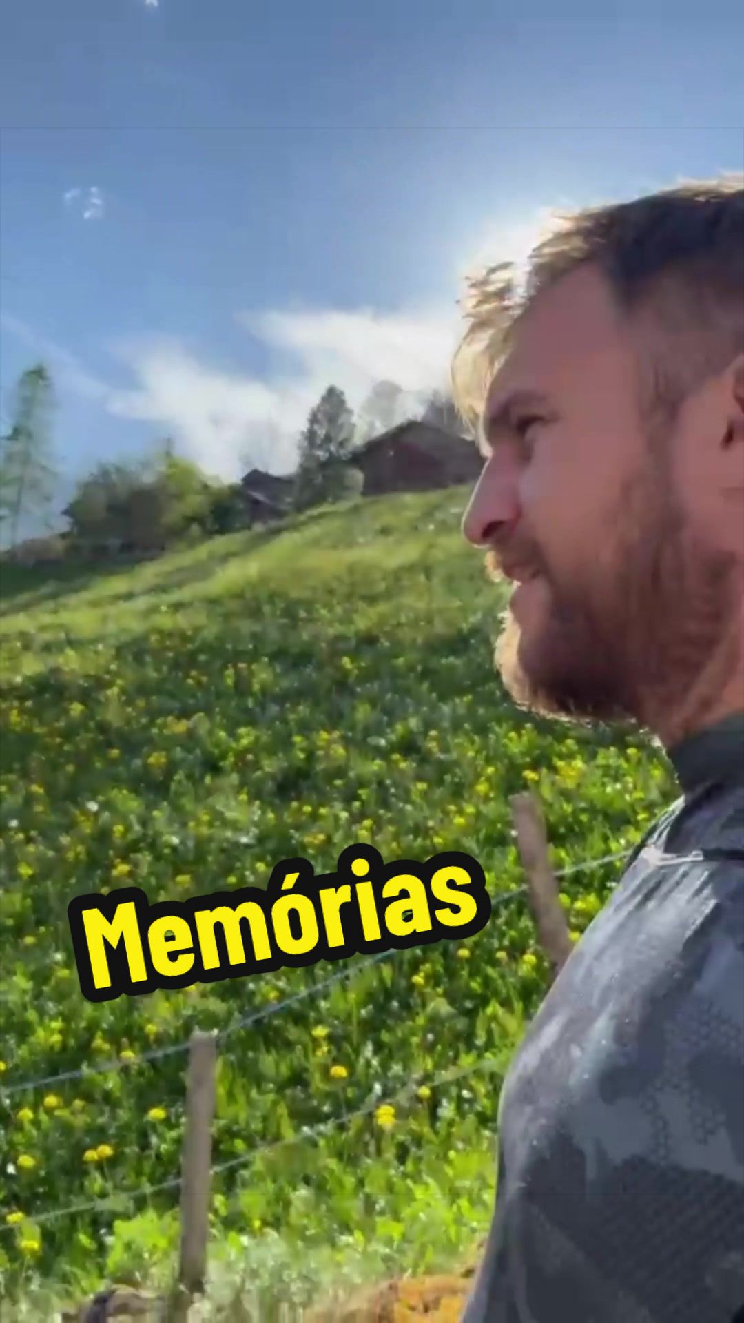 @Marcelo Zerbini