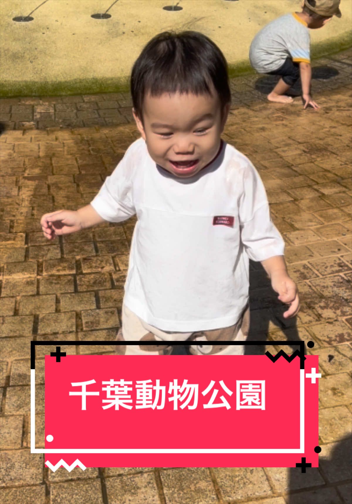 @とらままんち