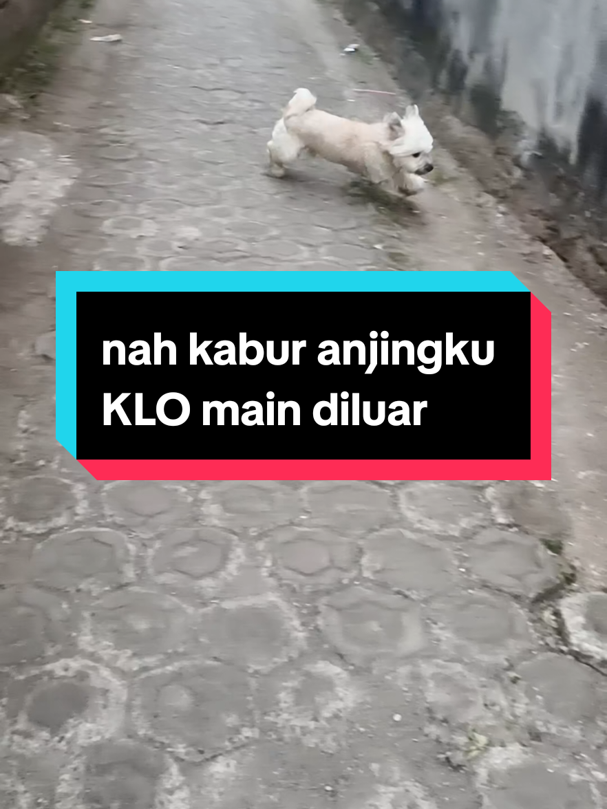 @Sarah Purnama ❤️❤️❤️