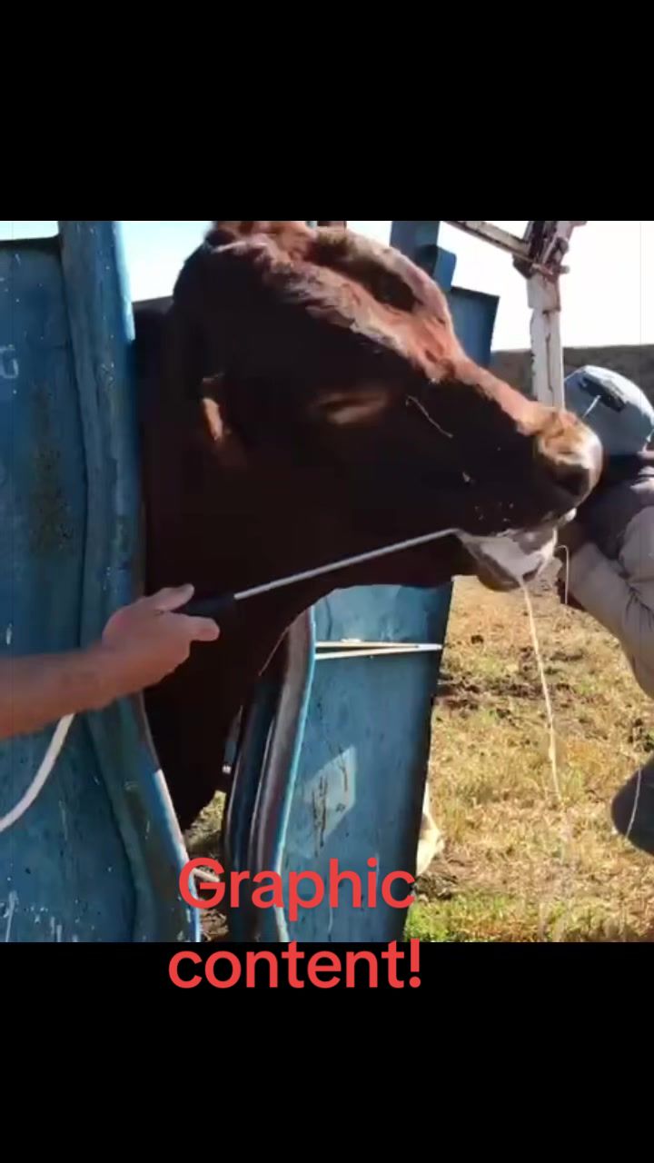 @FarmingKZN🇿🇦