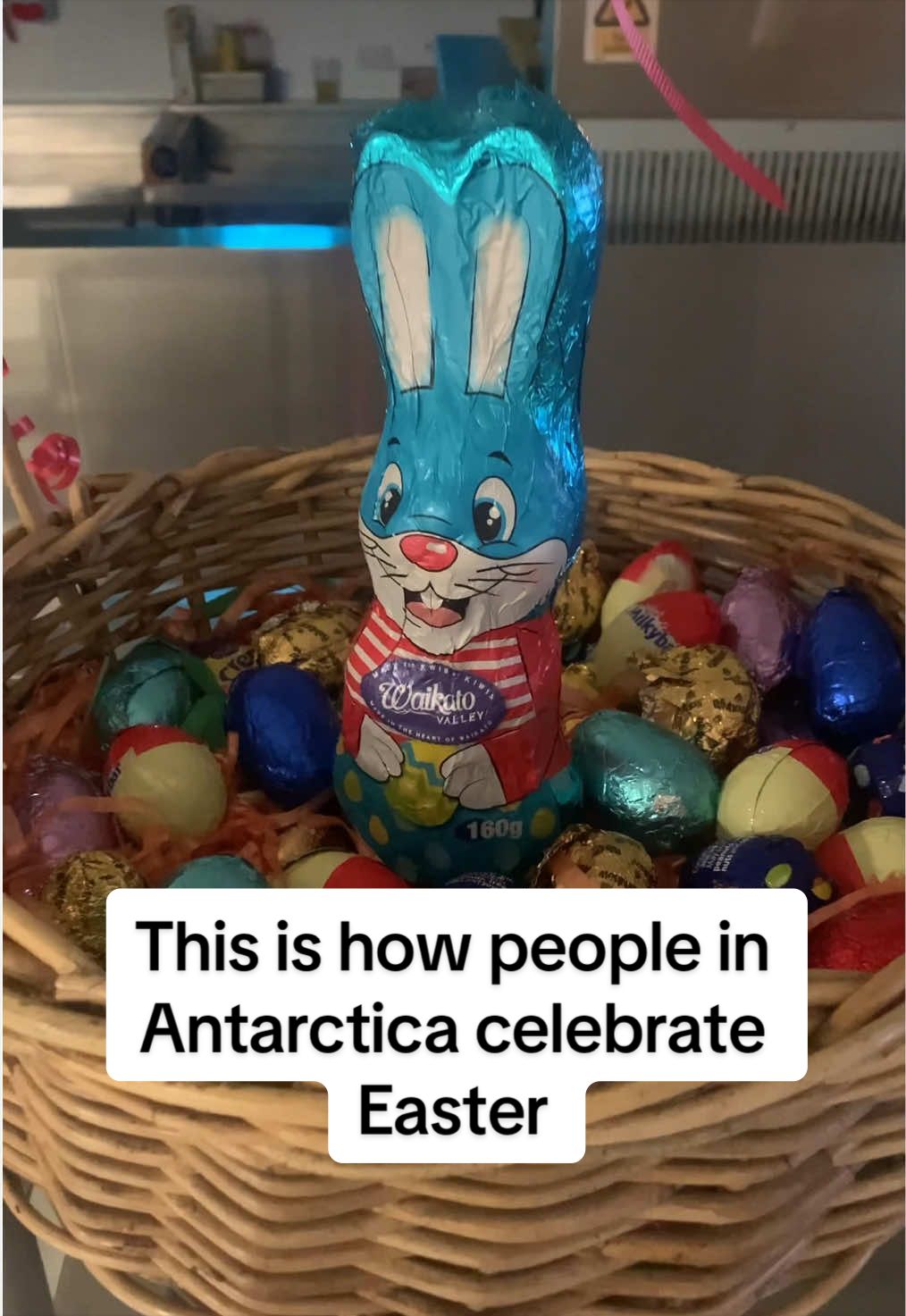 @Matty Jordan | Antarctica