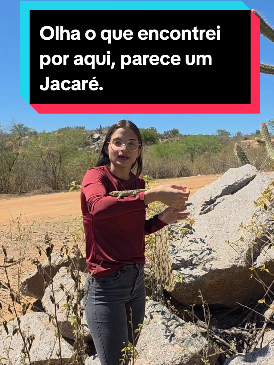 @Princesa das Serpentes